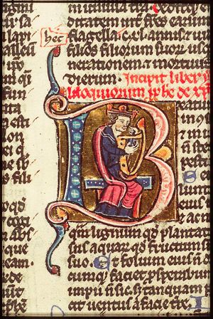 David playing the harp