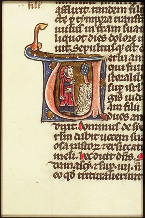Amos as shepherd