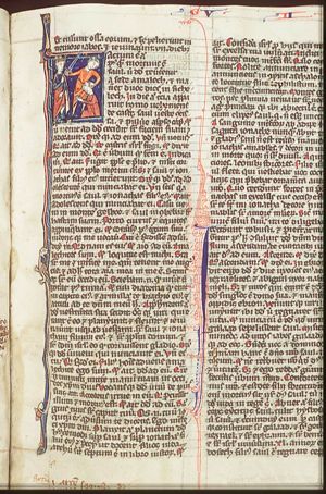 The Amalekite messenger who brings David the message of Saul's death is put to death by one of David's soldiers