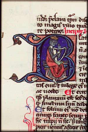 David playing the harp
