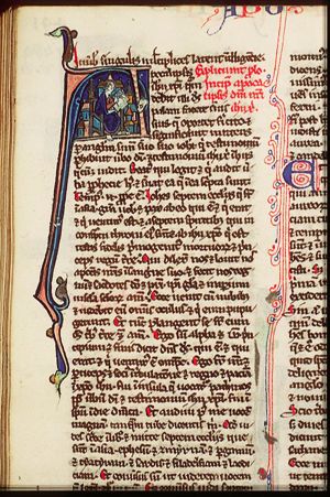 The Evangelist St. John