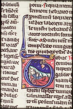 Tobit is blinded by a swallow's dropping
