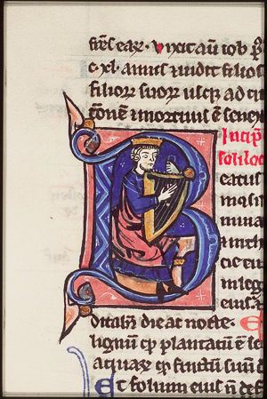 David playing the harp