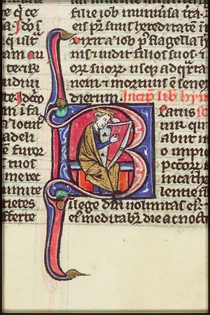 David playing the harp