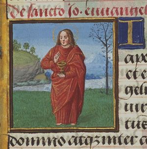 The Evangelist St. John holding the poisoned chalice