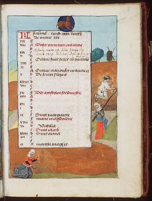 July: man and women reaping corn; Leo