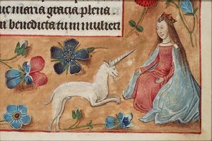 Unicorn caught by a virgin