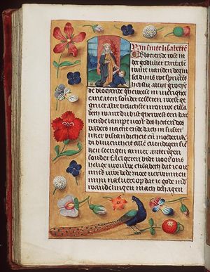 St. Elisabeth of Hungary with a crown on her head and one in her hand, a beggar at her feet