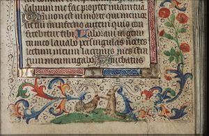 Fox blessing a chicken (preaching to the geese?)