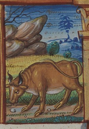 April: Taurus