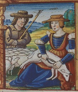 June: a woman shearing sheep; shepherd