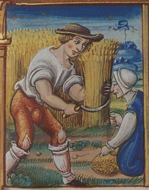 August: a man and a woman reaping corn