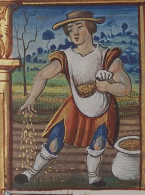 September: a man sowing