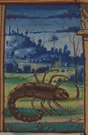 October: Scorpio