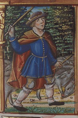 November: a man knocking acorns out of oak trees