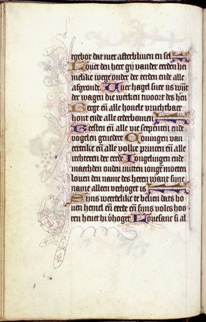 Man with eyeglasses, reading