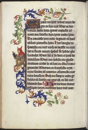 Simia/Ape with hood with the ears of an ass (fool?) writing