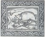 Emblem illustration for III iii 50